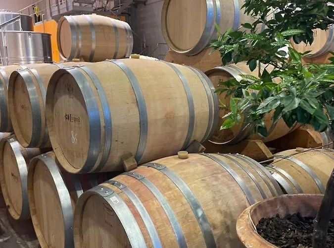 Le 31 Διαμέρισμα